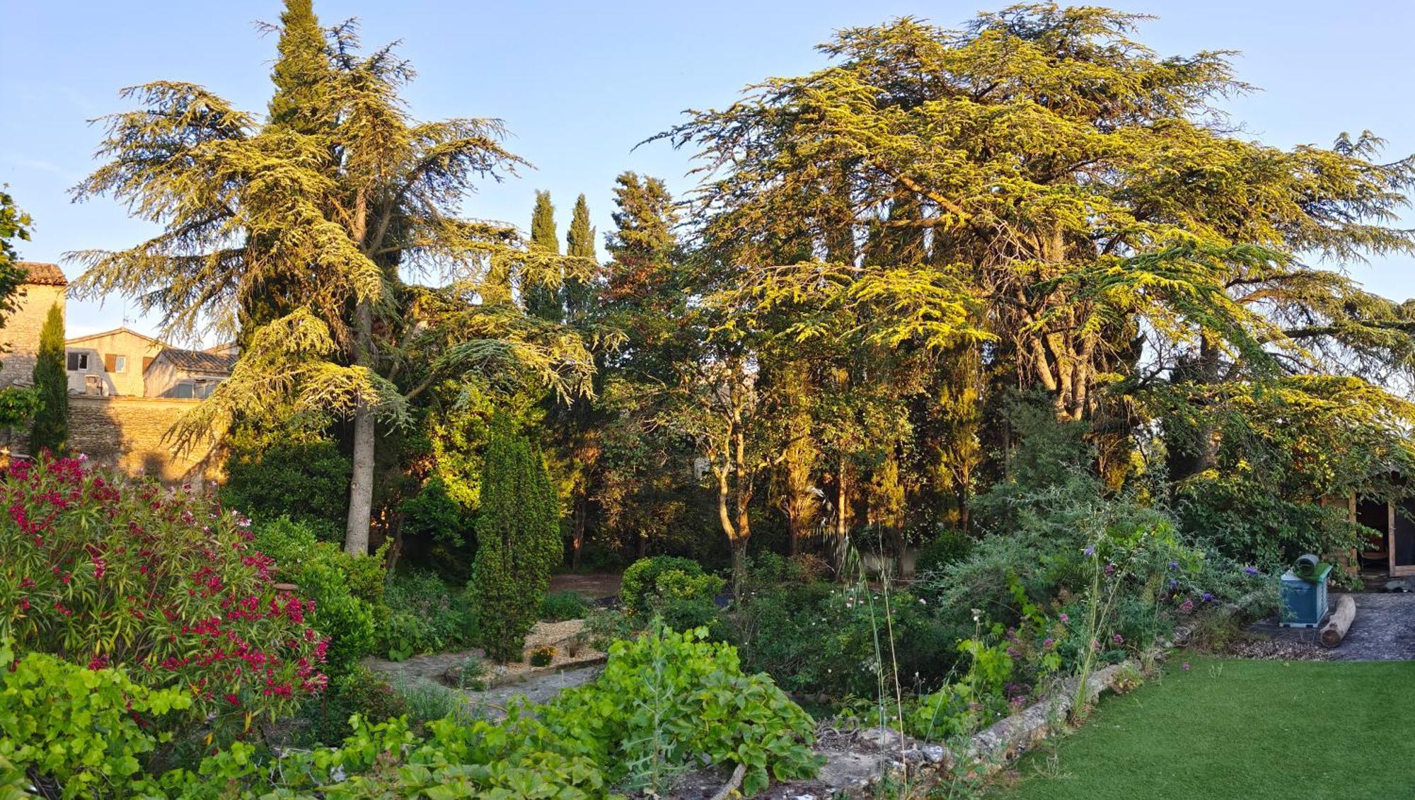 Rue Du Chateau A Cabrieres D'Avignon Bed & Breakfast Exterior photo